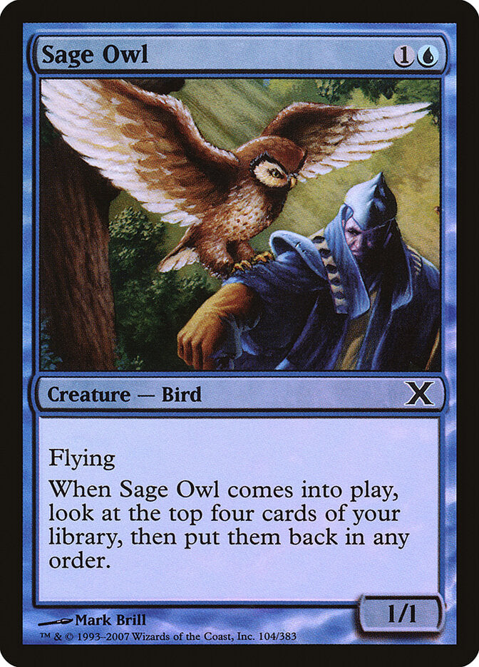 Coruja Sábia / Sage Owl - Magic: The Gathering - MoxLand