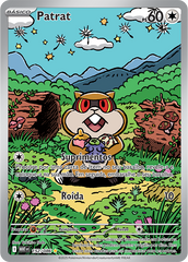 Patrat - Pokémon TCG - MoxLand