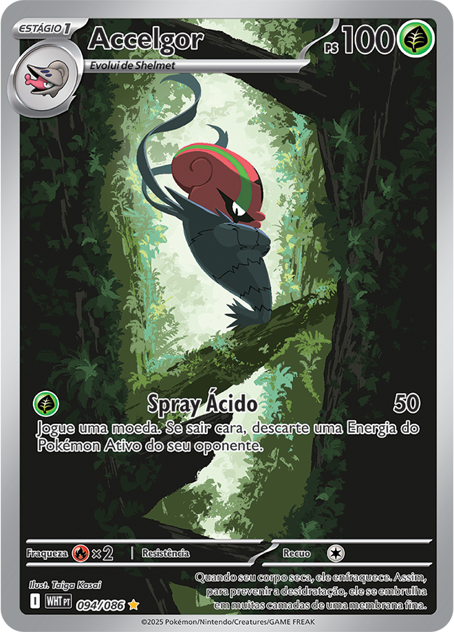 Accelgor - Pokémon TCG - MoxLand