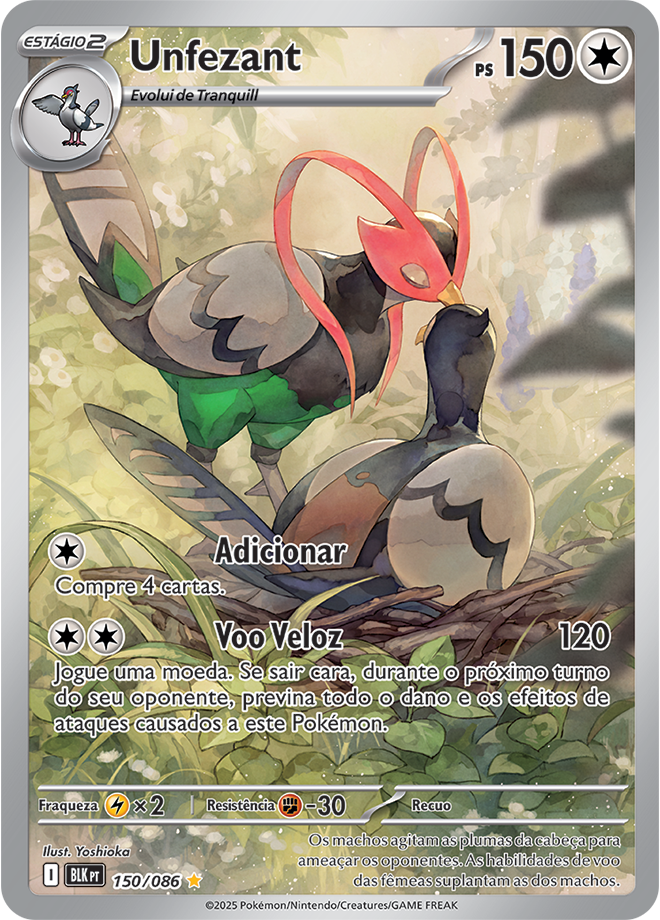 Unfezant - Pokémon TCG - MoxLand