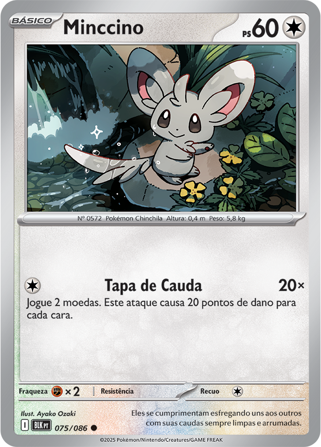 Minccino - Pokémon TCG - MoxLand