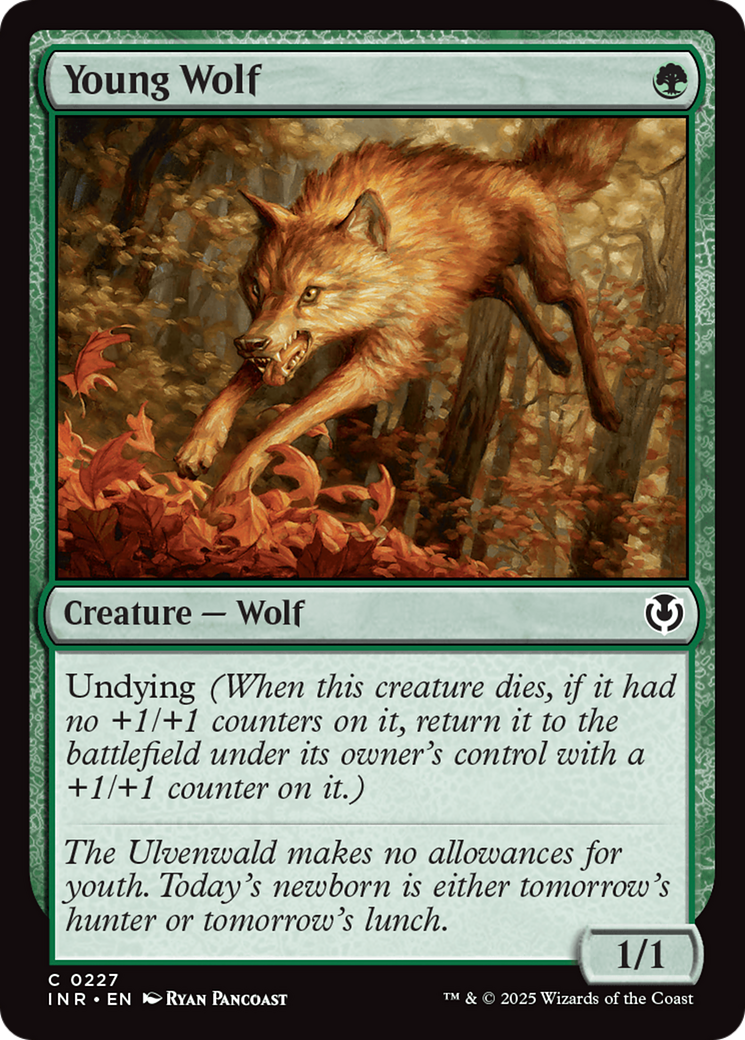 Lobo Jovem / Young Wolf - Magic: The Gathering - MoxLand