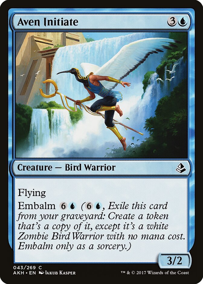 Iniciado Aviano / Aven Initiate - Magic: The Gathering - MoxLand