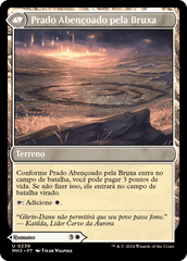 Bruxa Encantadora / Witch Enchanter - Magic: The Gathering - MoxLand