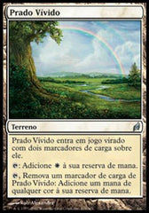 Prado Vívido / Vivid Meadow - Magic: The Gathering - MoxLand