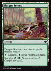 Bosque Sereno / Tranquil Thicket - Magic: The Gathering - MoxLand