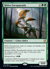 Hidra Encapuzada / Hooded Hydra - Magic: The Gathering - MoxLand