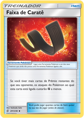Faixa de Caratê / Karate Belt - Pokémon TCG - MoxLand