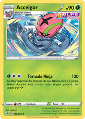 Accelgor - Pokémon TCG - MoxLand