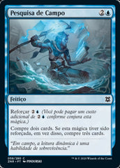 Pesquisa de Campo / Field Research - Magic: The Gathering - MoxLand