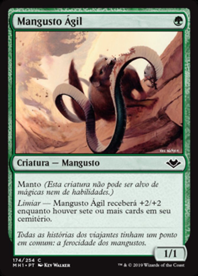 Mangusto Ágil / Nimble Mongoose - Magic: The Gathering - MoxLand