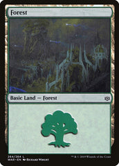 Floresta / Forest - Magic: The Gathering - MoxLand