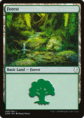 Floresta / Forest - Magic: The Gathering - MoxLand