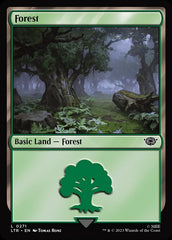 Floresta / Forest - Magic: The Gathering - MoxLand