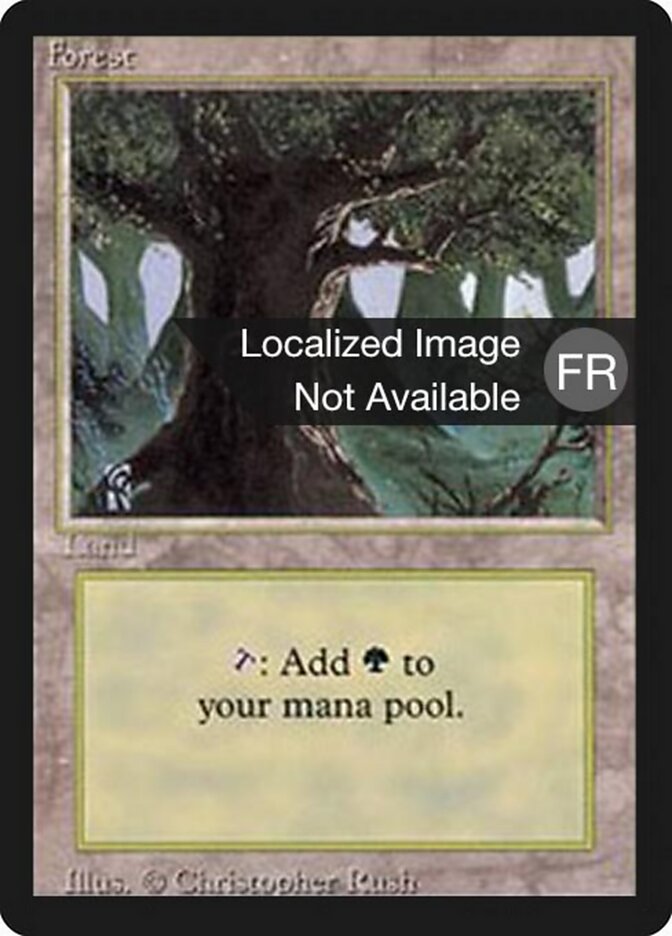 Floresta / Forest - Magic: The Gathering - MoxLand