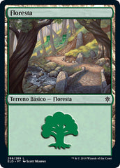 Floresta / Forest - Magic: The Gathering - MoxLand