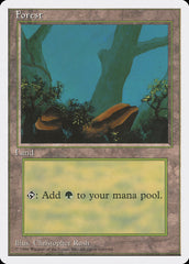 Floresta / Forest - Magic: The Gathering - MoxLand