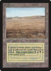 Savannah / Savannah - Magic: The Gathering - MoxLand