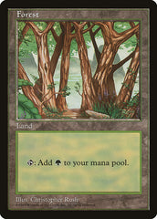 Floresta / Forest - Magic: The Gathering - MoxLand