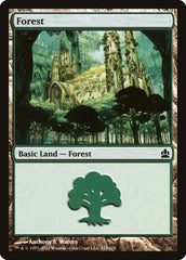 Floresta / Forest - Magic: The Gathering - MoxLand