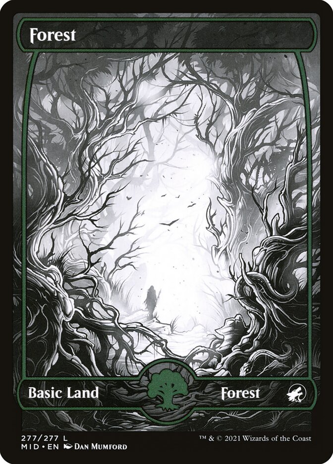 Floresta / Forest - Magic: The Gathering - MoxLand