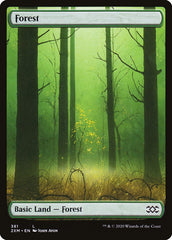 Floresta / Forest - Magic: The Gathering - MoxLand