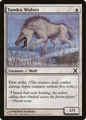 Lobos da Tundra / Tundra Wolves - Magic: The Gathering - MoxLand
