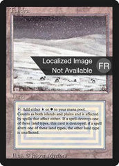 Tundra - Magic: The Gathering - MoxLand