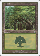 Floresta / Forest - Magic: The Gathering - MoxLand