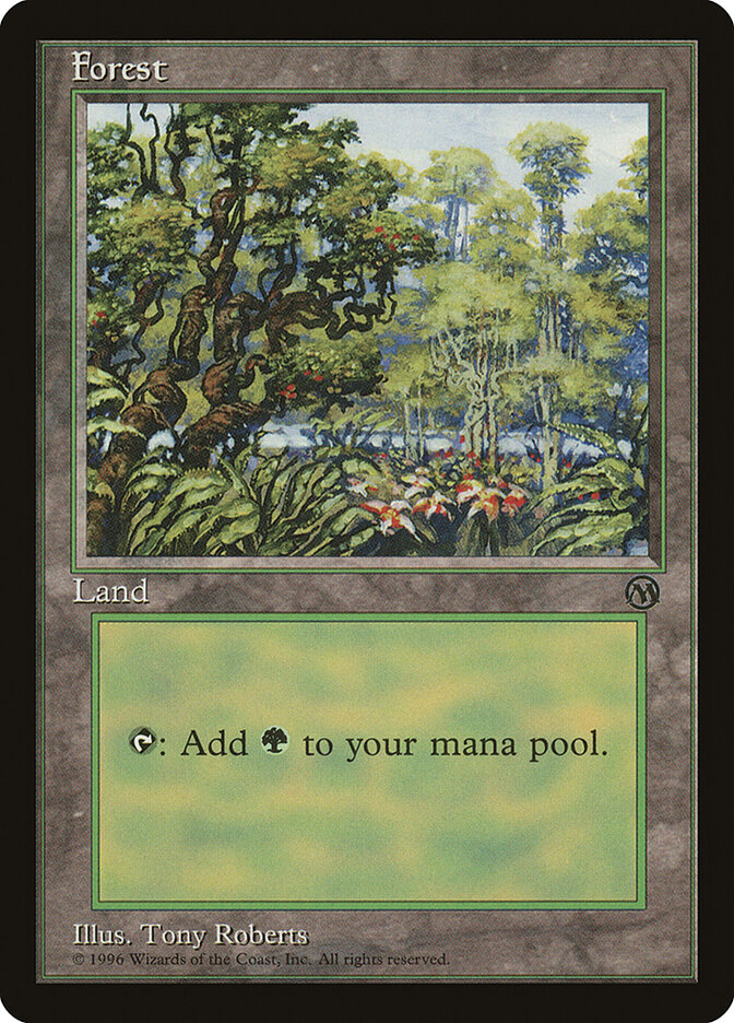 Floresta / Forest - Magic: The Gathering - MoxLand