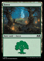 Floresta / Forest - Magic: The Gathering - MoxLand
