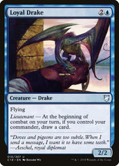 Dragonete Leal / Loyal Drake - Magic: The Gathering - MoxLand