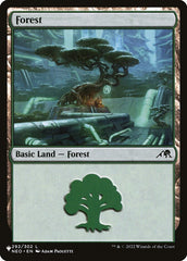 Floresta / Forest - Magic: The Gathering - MoxLand