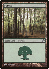 Floresta / Forest - Magic: The Gathering - MoxLand