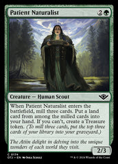 Naturalista Paciente / Patient Naturalist - Magic: The Gathering - MoxLand