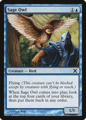 Coruja Sábia / Sage Owl - Magic: The Gathering - MoxLand