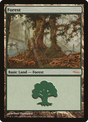 Floresta / Forest - Magic: The Gathering - MoxLand