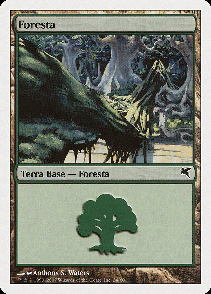 Floresta / Forest - Magic: The Gathering - MoxLand