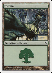 Floresta / Forest - Magic: The Gathering - MoxLand