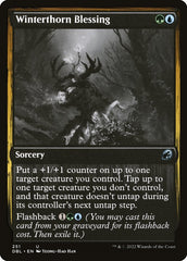 Bênção do Espinho Invernal / Winterthorn Blessing - Magic: The Gathering - MoxLand
