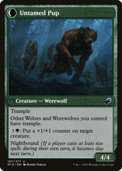 Domador de Sabujos / Hound Tamer - Magic: The Gathering - MoxLand
