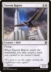 Raptor de Tazeem / Tazeem Raptor - Magic: The Gathering - MoxLand