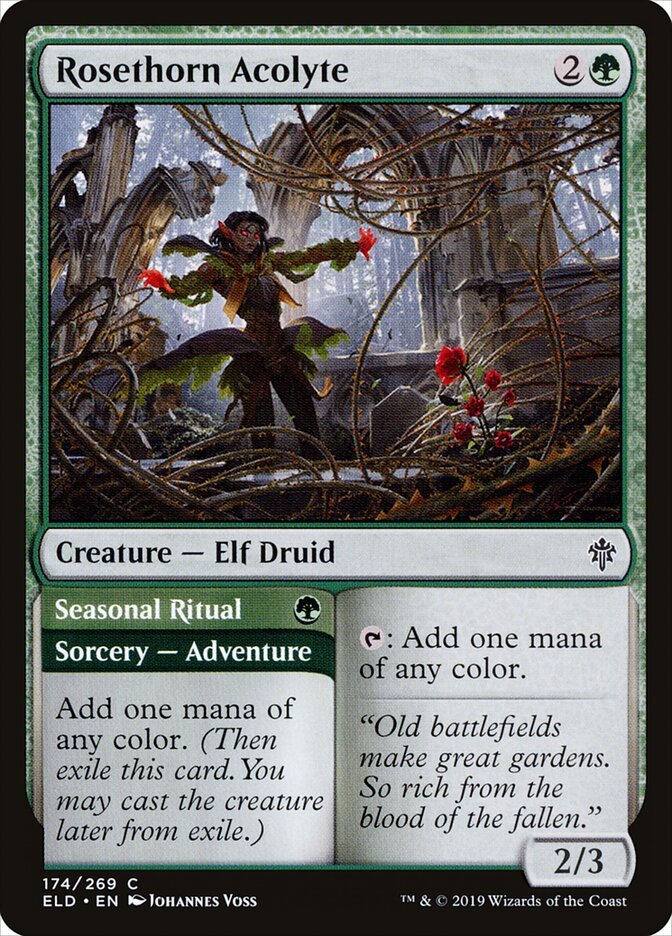 Acólita Rosespina / Rosethorn Acolyte - Magic: The Gathering - MoxLand