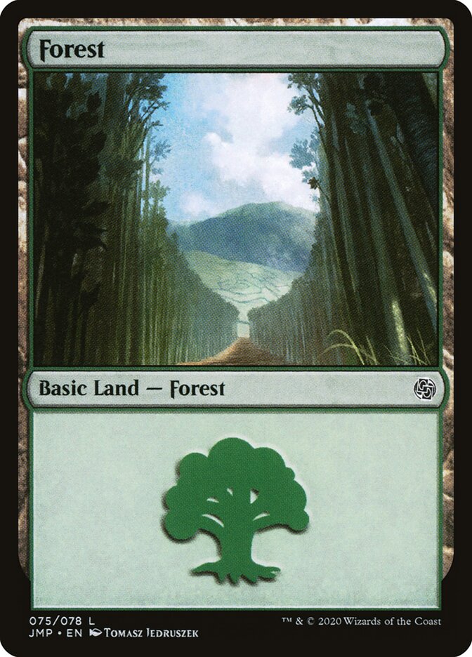 Floresta / Forest - Magic: The Gathering - MoxLand