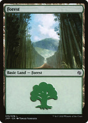 Floresta / Forest - Magic: The Gathering - MoxLand