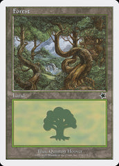Floresta / Forest - Magic: The Gathering - MoxLand