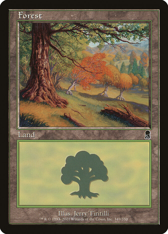 Floresta / Forest