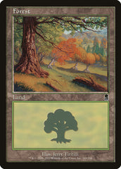 Floresta / Forest