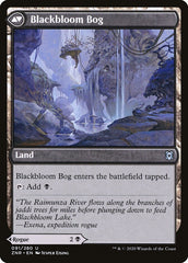 Ladina de Nigriflor / Blackbloom Rogue - Magic: The Gathering - MoxLand