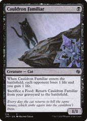 Familiar do Caldeirão / Cauldron Familiar - Magic: The Gathering - MoxLand
